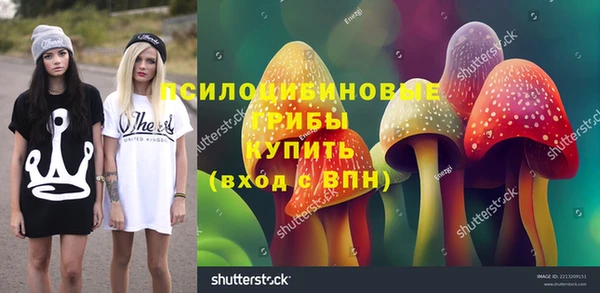 амф Абаза