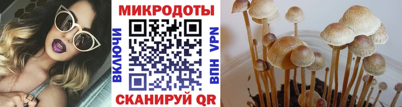 Псилоцибиновые грибы прущие грибы  наркошоп  Урус-Мартан 